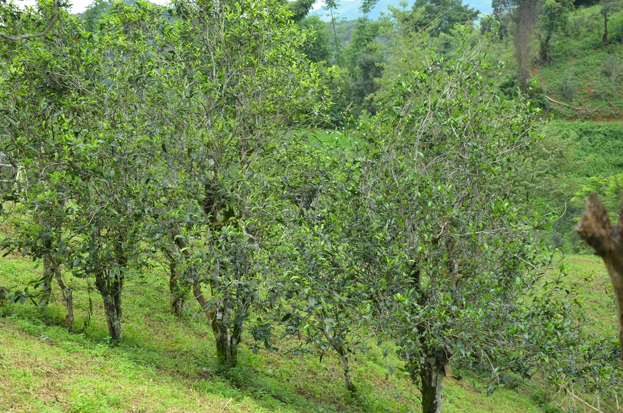 DSC_5587