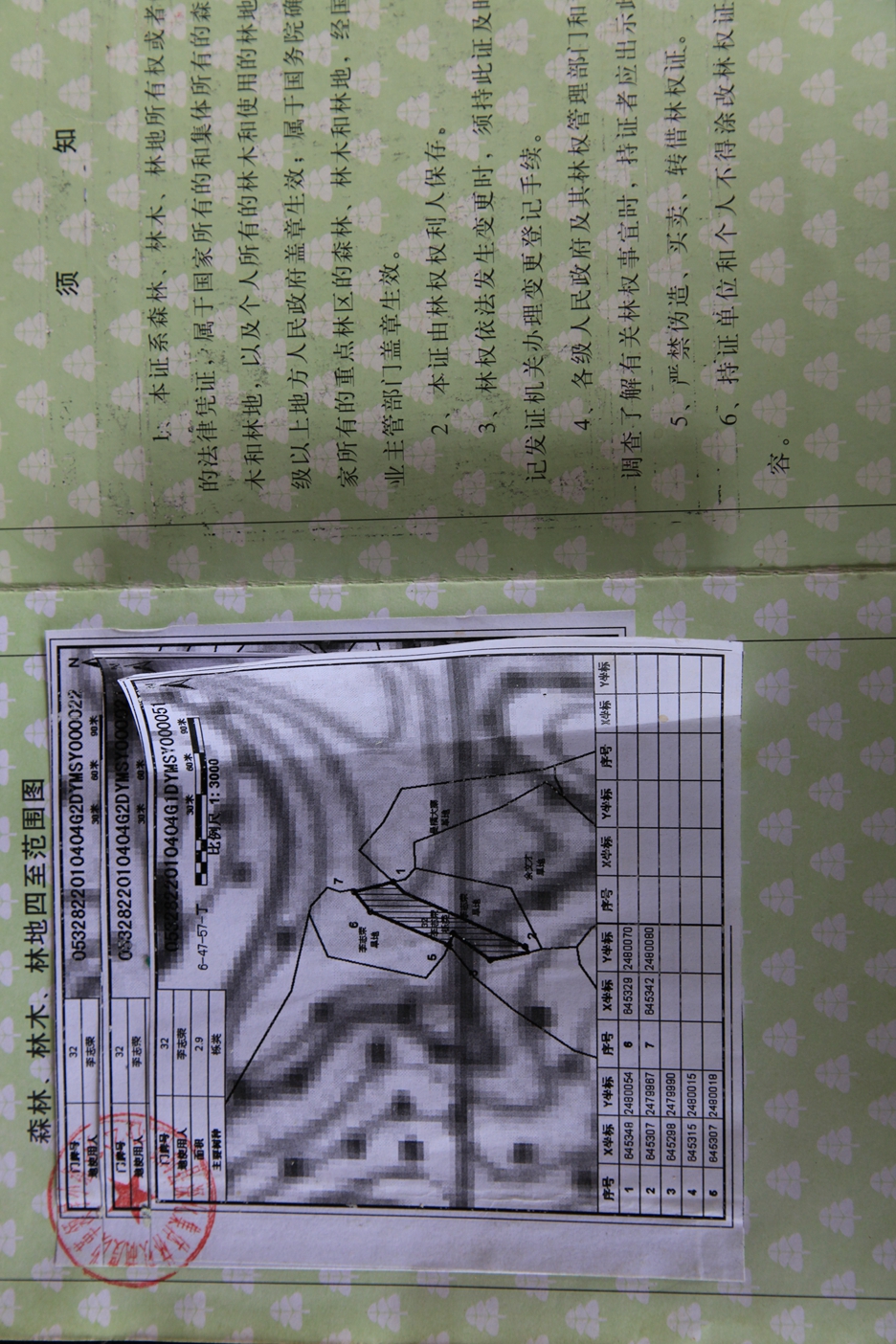 Ȩ֤4
