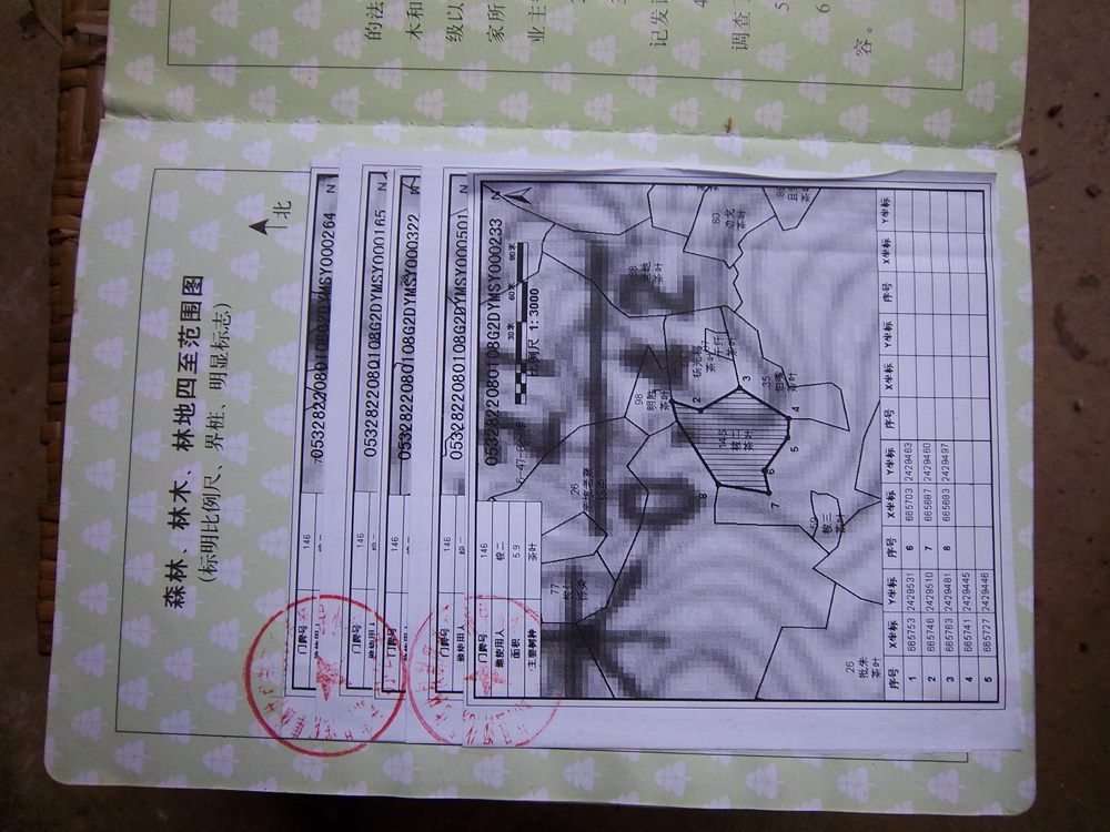 100_1055